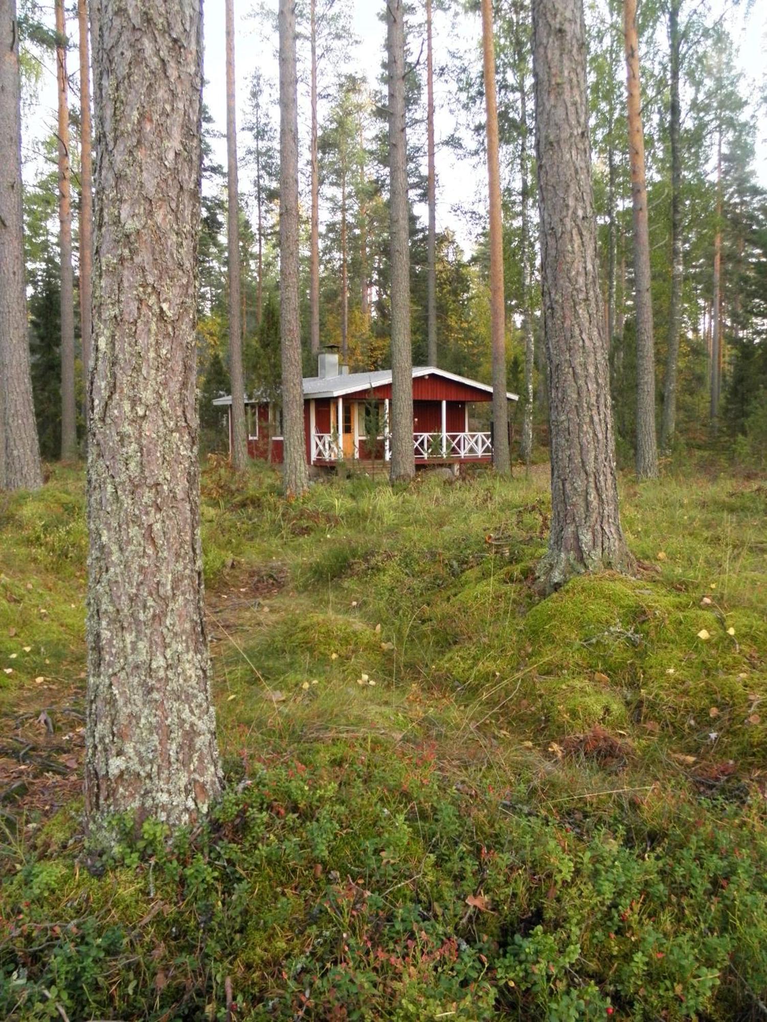 Loikansaari Lomamoekit Holiday Cottages Kallislahti エクステリア 写真