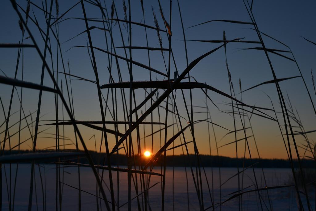 Loikansaari Lomamoekit Holiday Cottages Kallislahti エクステリア 写真